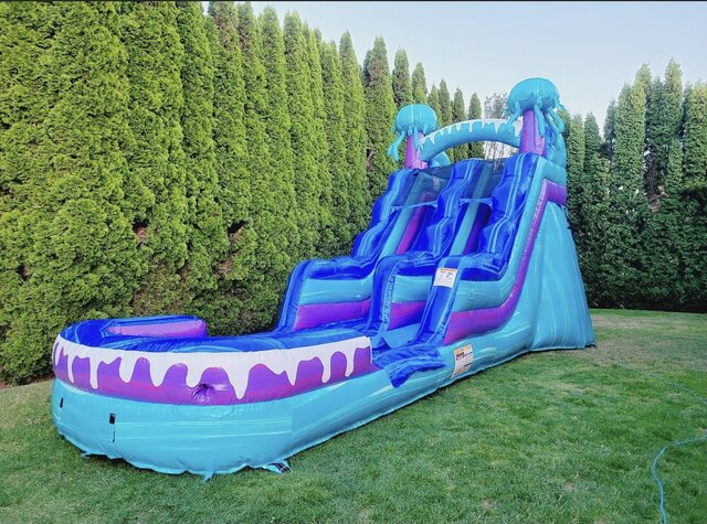 15ft jelly fish water slide 