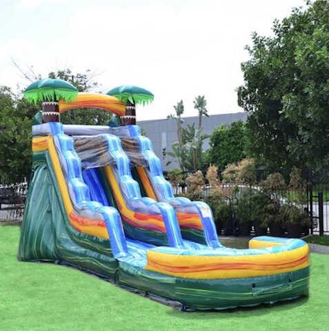 15ft palm trees water slide