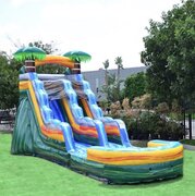 15ft palm trees water slide