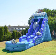 19ft tall Dolphins water slide 