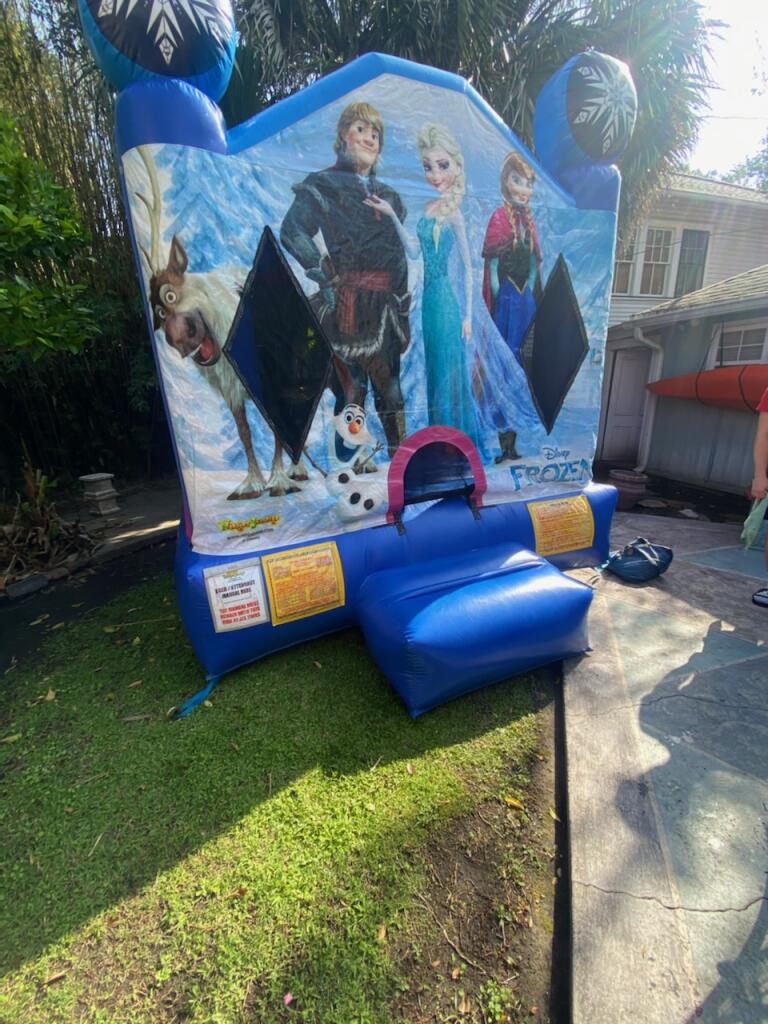 Frozen small bounce house