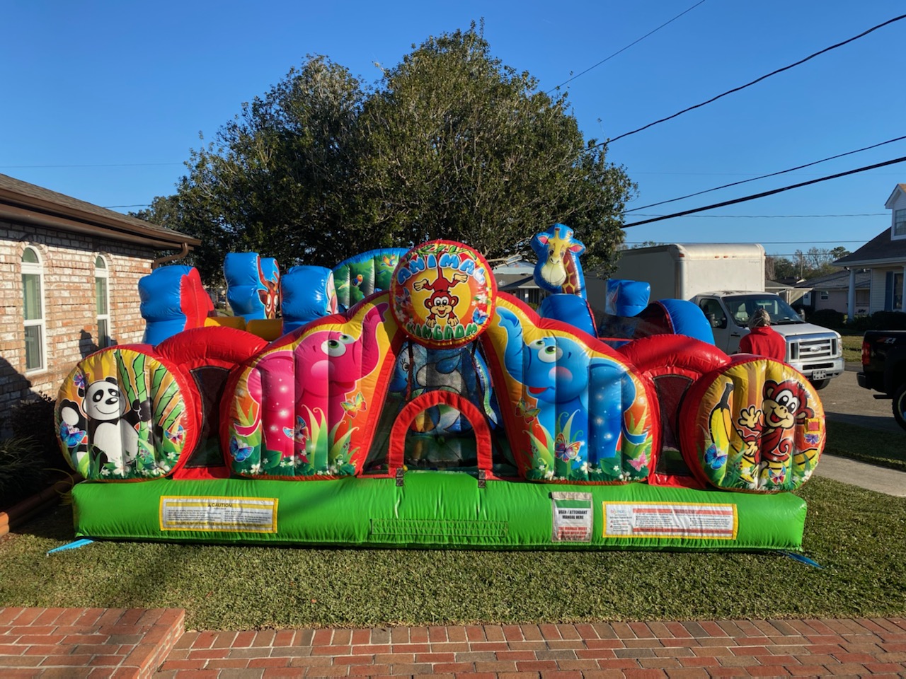 Animal kingdom inflatable rental