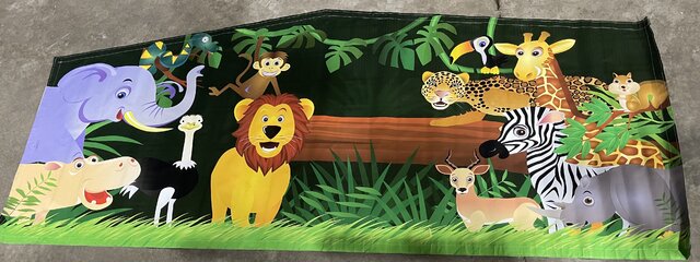 Safari panel