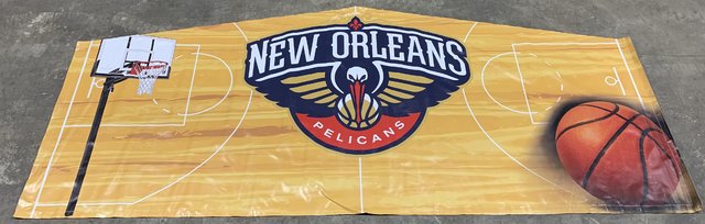 New Orleans Pelicans Panel