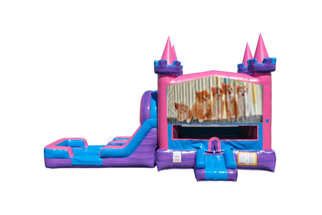 Kitty Cats Lucky princess combo Double Lane Wet/Dry with Bounce House 