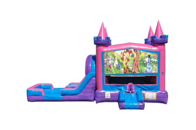 Winnie the Pooh Lucky princess combo Double Lane Wet/Dry with Bounce House 