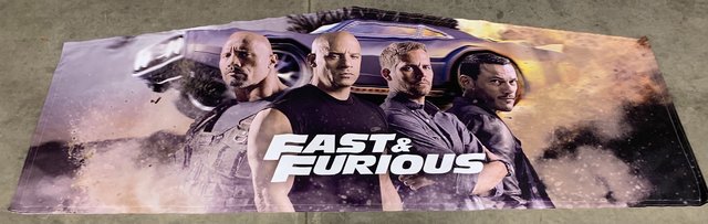 Fast and Furious Panel