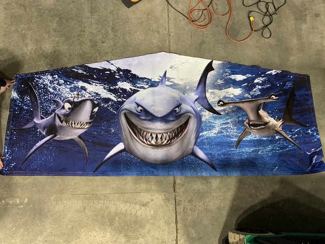 Shark panel