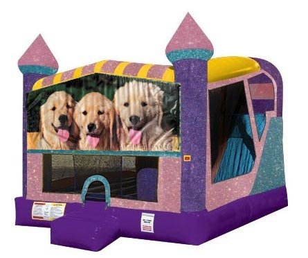 Dogs 4in1 Combo Bouncer Pink