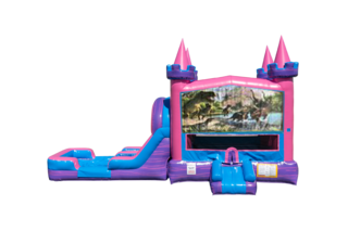 Dinosaurs 4 Lucky princess combo Double Lane Wet/Dry with Bounce House 