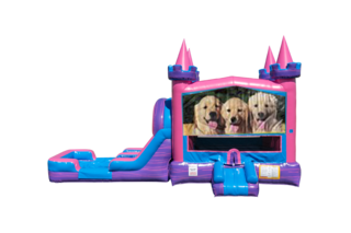 Dogs Lucky princess combo Double Lane Wet/Dry with Bounce House 