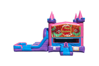 Ladybug Lucky princess combo Double Lane Wet/Dry with Bounce House 