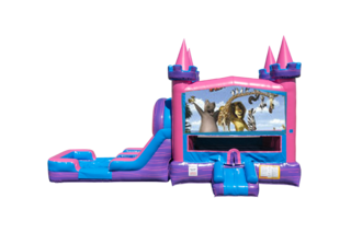 Madagasgar Lucky princess combo Double Lane Wet/Dry with Bounce House 