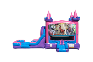 Toy Story Lucky princess combo Double Lane Wet/Dry with Bounce House 