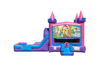 Winnie the Pooh Lucky princess combo Double Lane Wet/Dry with Bounce House 