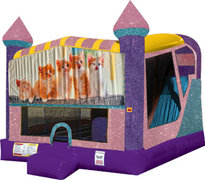 Kitty Cats 4in1 Combo Bouncer Pink