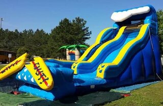 Wipe Out Slide (Wet / Dry)