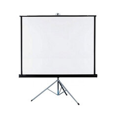 Movie Screen with Projector 
