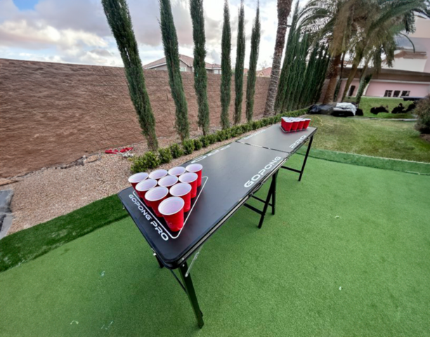 Beer Pong Table