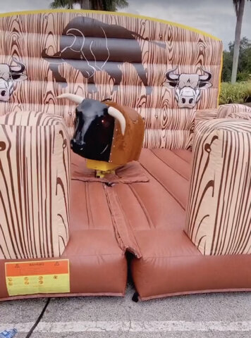 Mechanical Bull