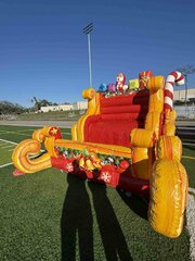 Selfie sleigh 