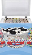 Mini Melts Ice Cream Party