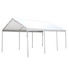 20' x 20' White Canopy