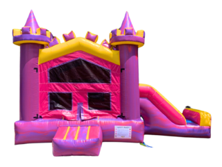 202 - Pink Castle Mini Slide