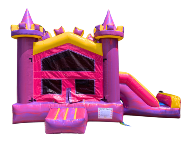 202 - Pink Castle Combo Slide