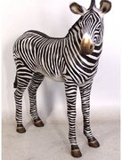 Zebra Baby Animal Prop