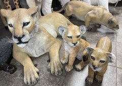 Lion Cubs Animal Prop