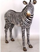 Standing Zebra Animal Prop