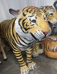 Life Sized Tiger Standing
