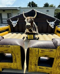 Rodeo Mechanical Bull