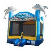 15x15 Dolphin Bounce House