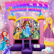 Disney Princess Bounce House