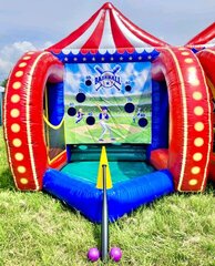 Baseball Carnival Game