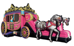 Princess Carriage Fairytale Combo (DRY)
