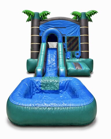 Royal Palm Combo (Wet/Dry)