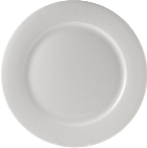 10-5/8 Dinner Plate