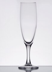 4.5 oz Champagne Flute