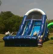 Valley Party Rentals Dolphin Water Slide