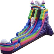 22' Unicorn Waterslide