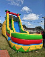 20' Palm Tree Slide