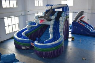 Shark 21' Double Lane Curve Waterslide