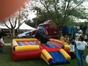 Mechanical Bull