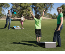 Corn Hole Boards