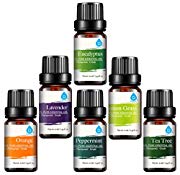 Essential Oils Collection