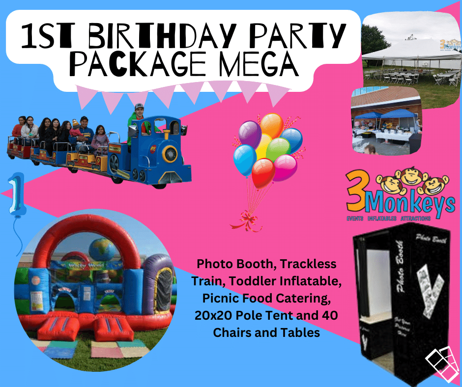 1st Birthday Party Mega Package