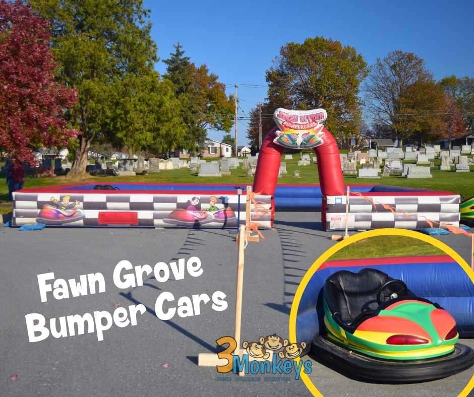 Bumper Cars Fawn Grove